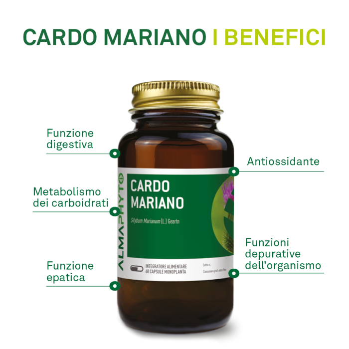 CARDO MARIANO
