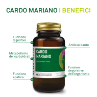 CARDO MARIANO