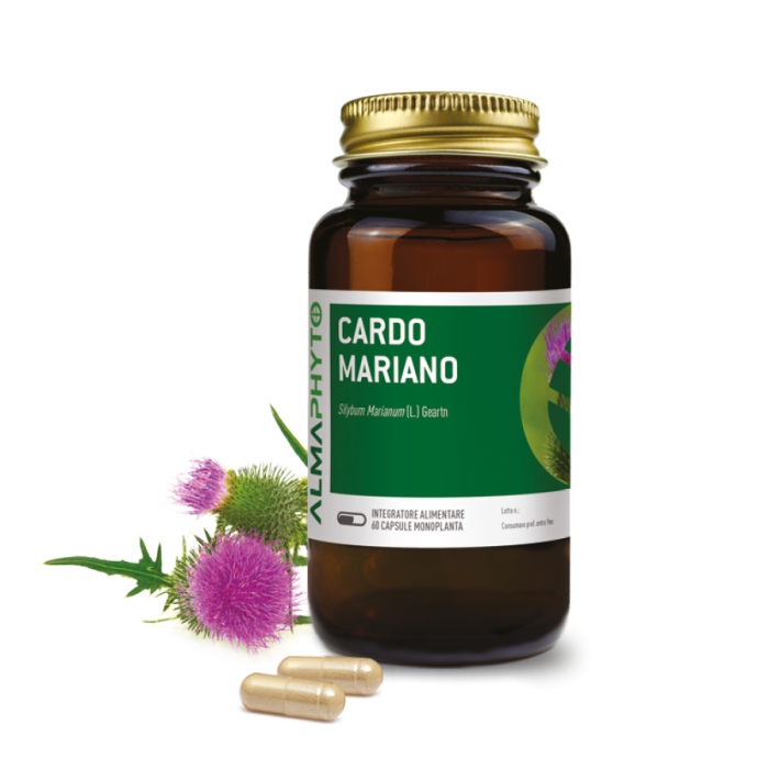 CARDO MARIANO
