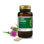 CARDO MARIANO