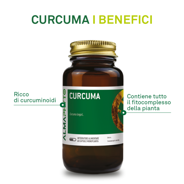 CURCUMA