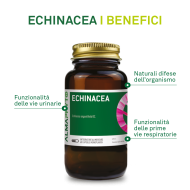 ECHINACEA