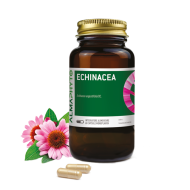 ECHINACEA