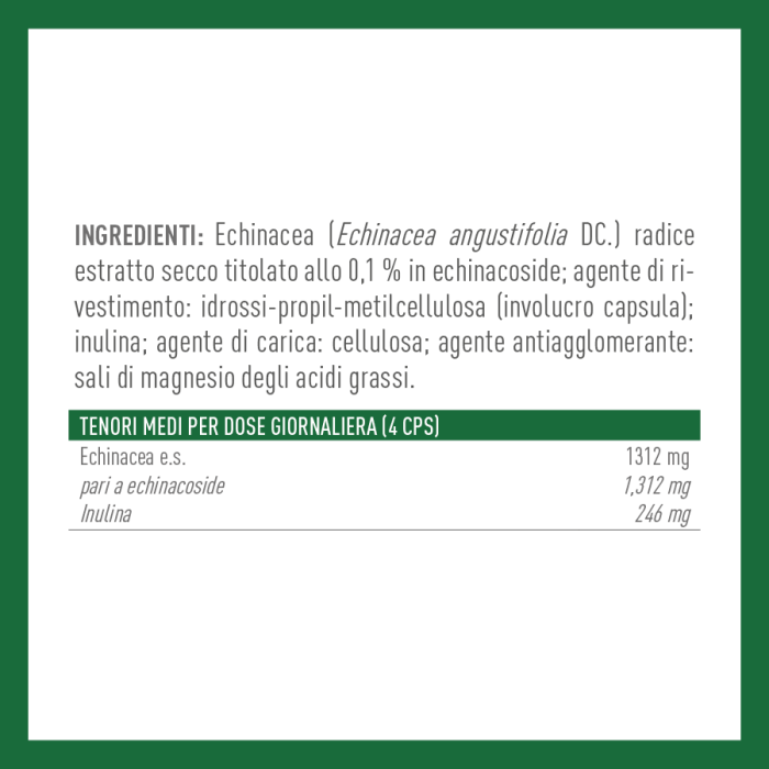 ECHINACEA
