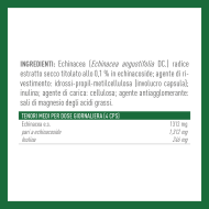 ECHINACEA