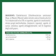 ELEUTEROCOCCO