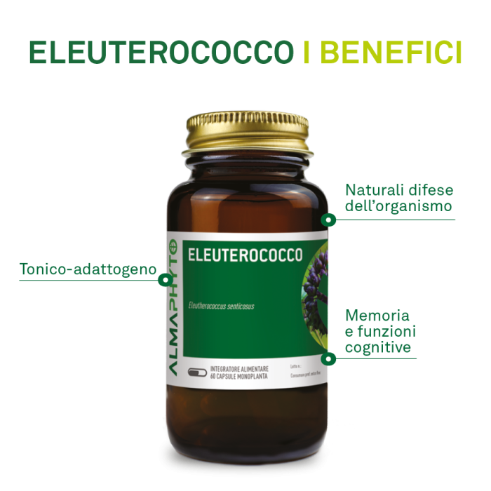 ELEUTEROCOCCO