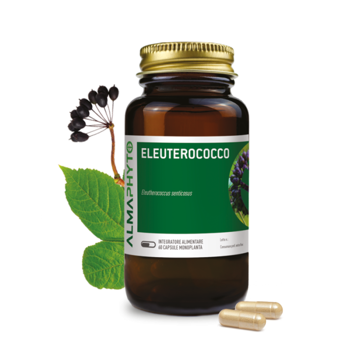 ELEUTEROCOCCO