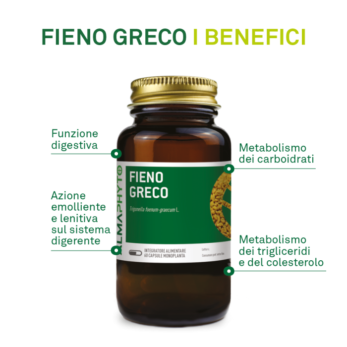 FIENO GRECO