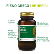 FIENO GRECO