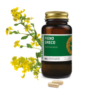FIENO GRECO