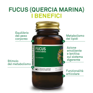 FUCUS
