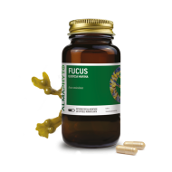 FUCUS