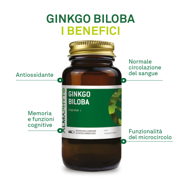 GINKO BILOBA
