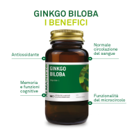 GINKO BILOBA