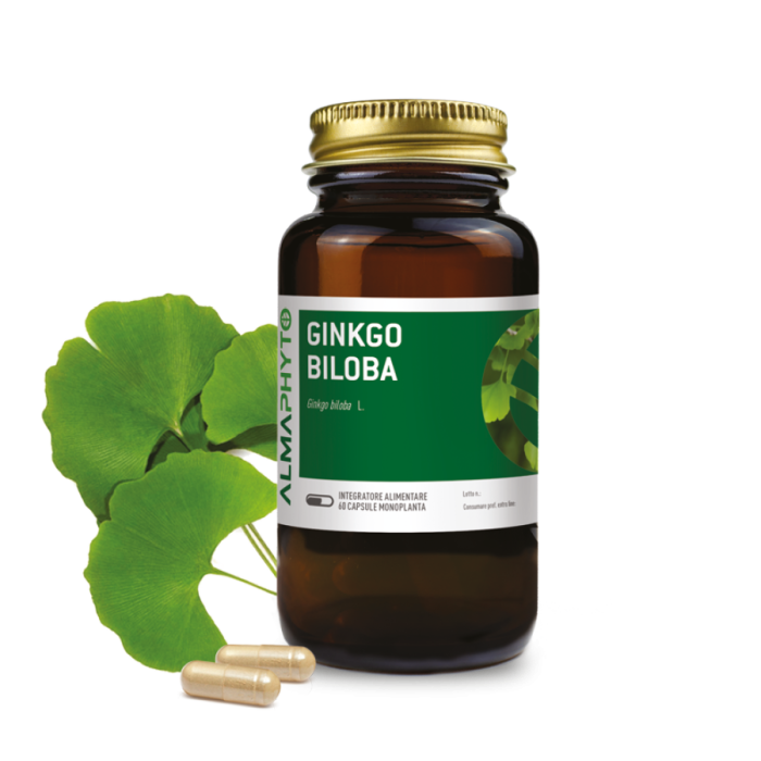 GINKO BILOBA