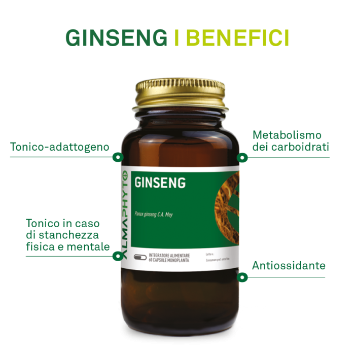 GINSENG