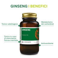 GINSENG