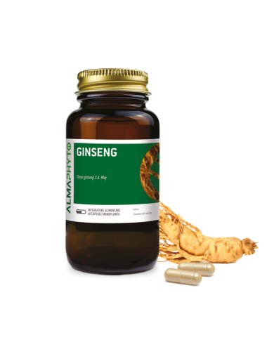 GINSENG