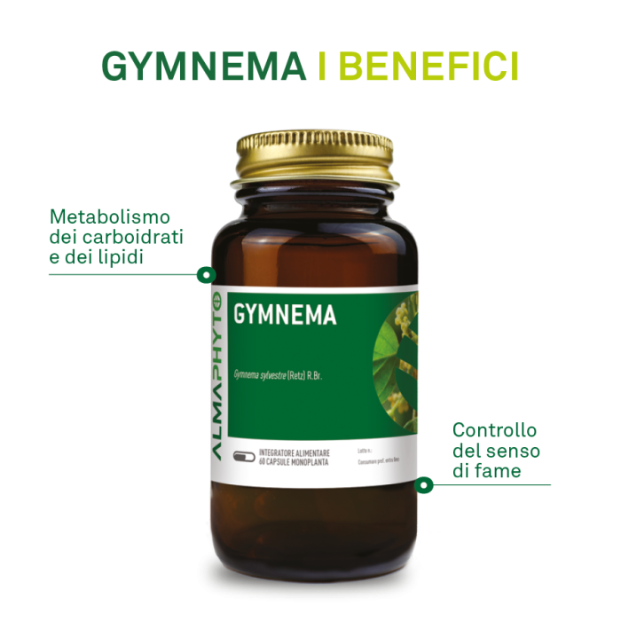 GYMNEMA
