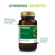 GYMNEMA