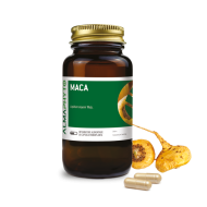 MACA