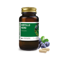 MIRTILLO NERO