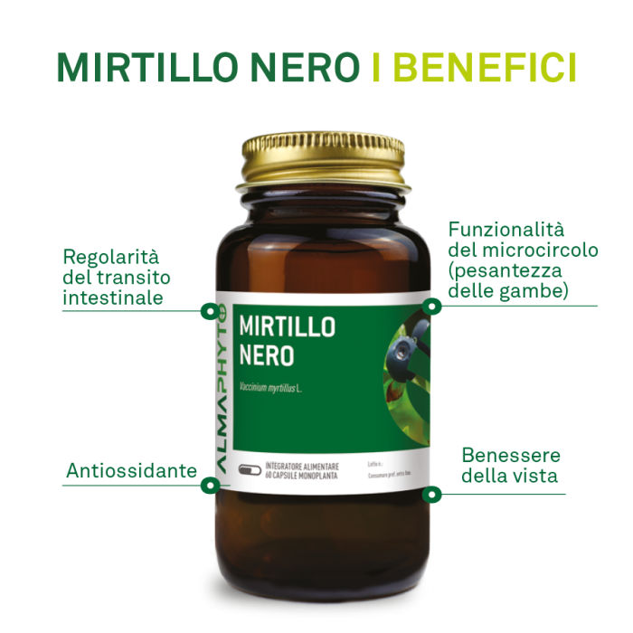 MIRTILLO NERO