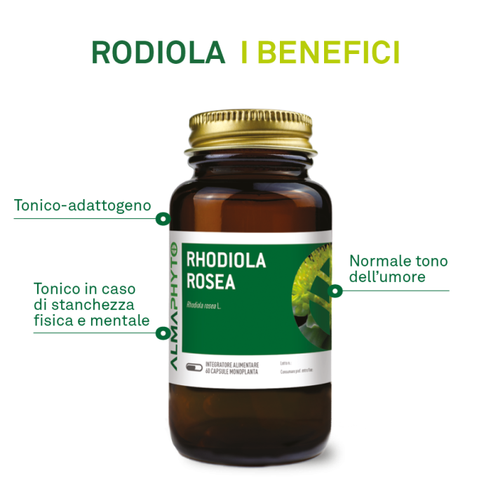 RODIOLA