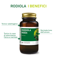 RODIOLA