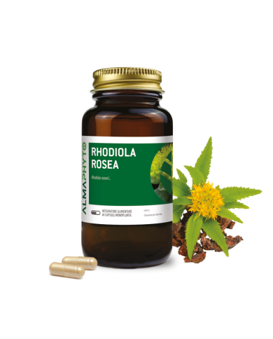 RODIOLA
