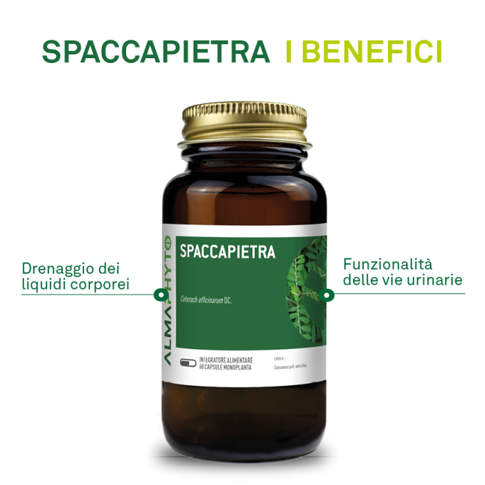 SPACCAPIETRA