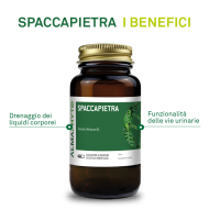 SPACCAPIETRA