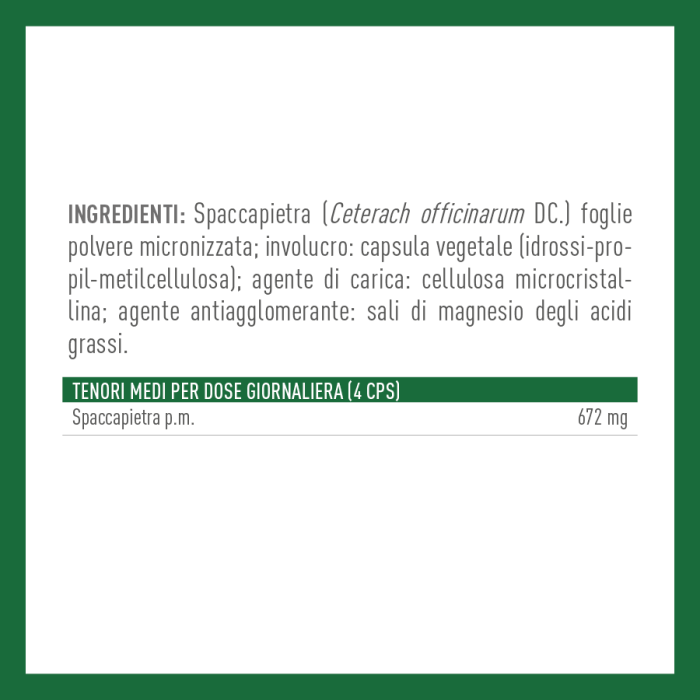 SPACCAPIETRA