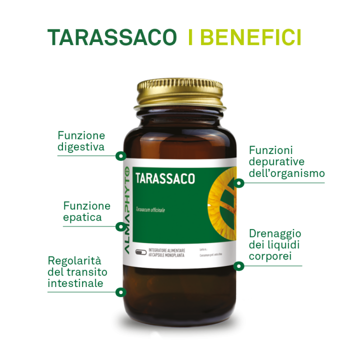 TARASSACO