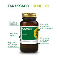 TARASSACO