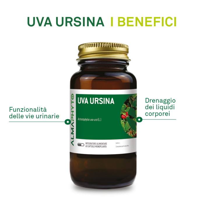 UVA URSINA