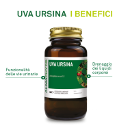 UVA URSINA