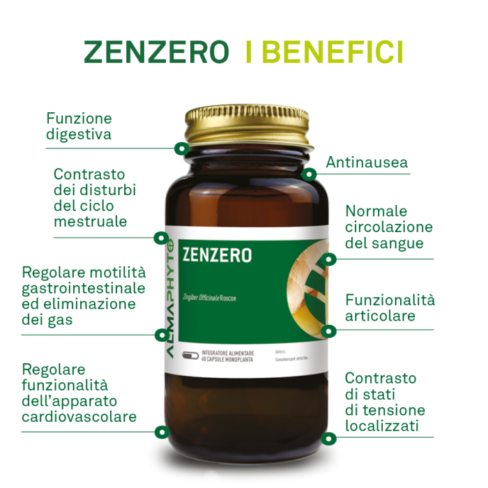ZENZERO