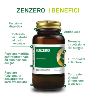 ZENZERO