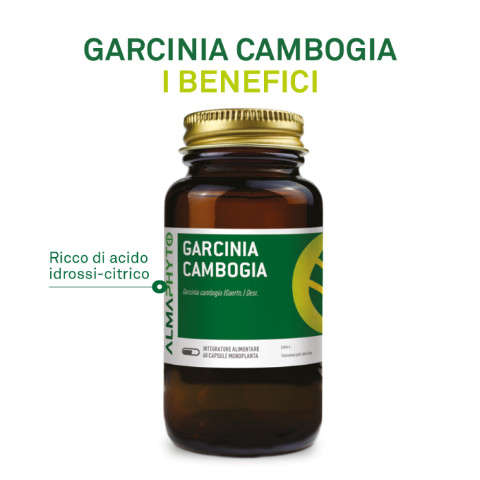 GARCINIA