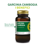 GARCINIA