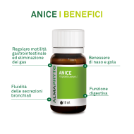 ANICE