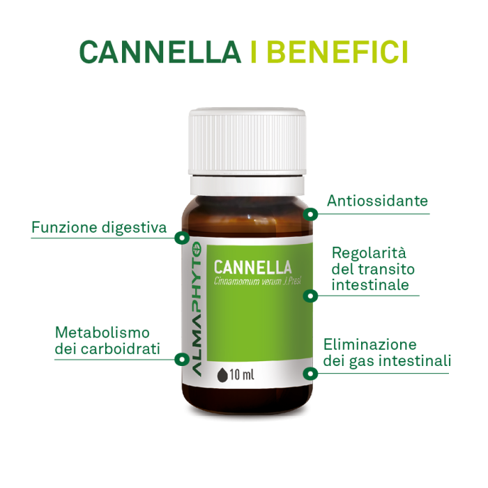 CANNELLA