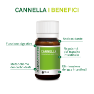 CANNELLA