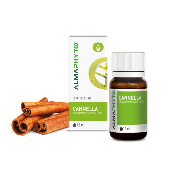 CANNELLA