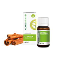 CANNELLA