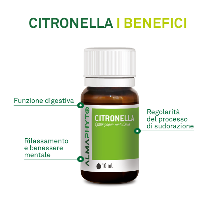 CITRONELLA