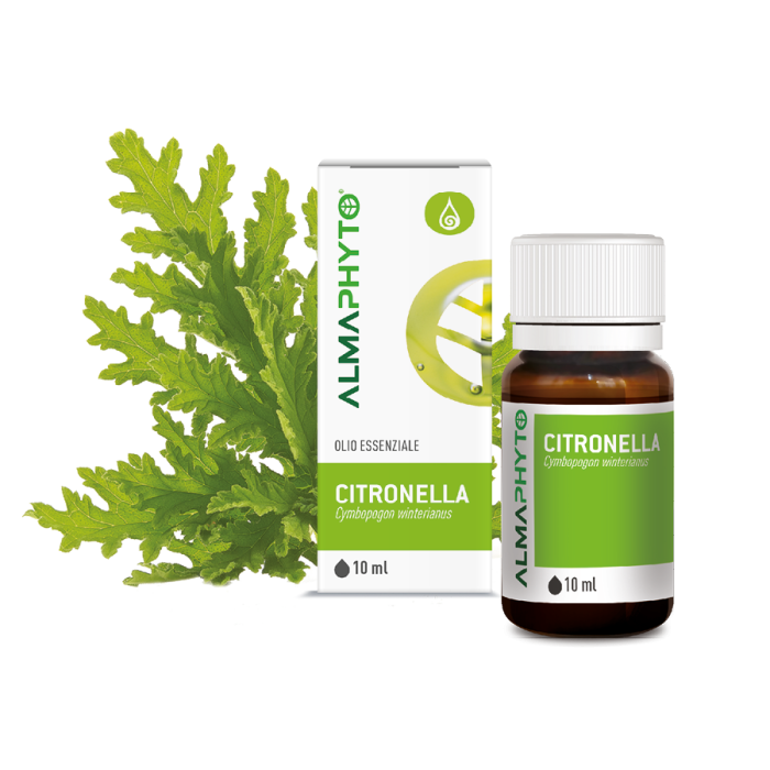 CITRONELLA