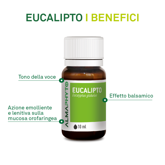 EUCALIPTO